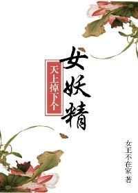 天上掉下个美娇娘免费阅读