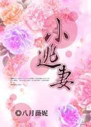 小逃妻讲的什么