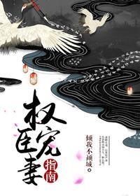 权臣宠妻手册晋江文学城