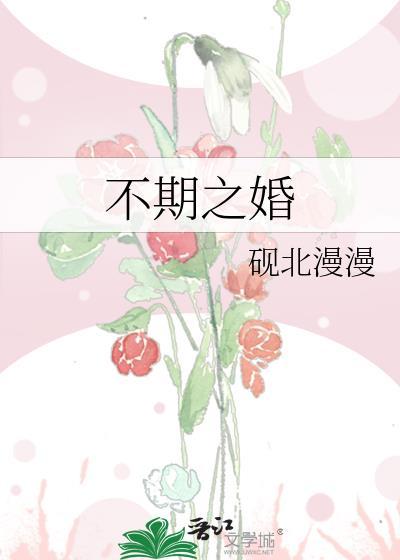 不期之婚砚北漫漫txt