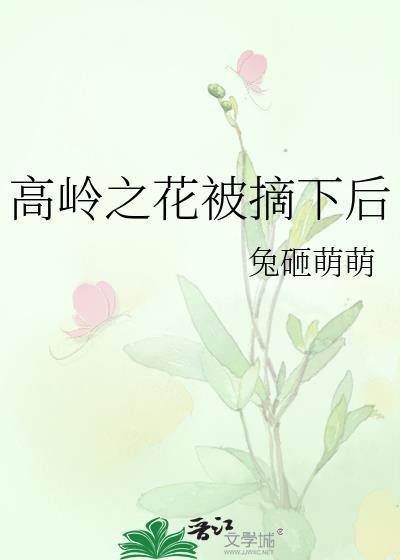 高岭之花的