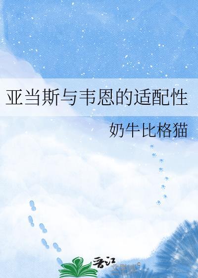 综英美亚当斯与韦恩的适配性