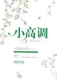 小高调[娱乐圈