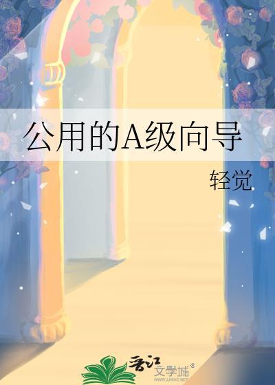 共s级向导