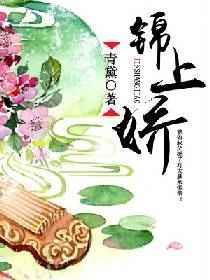 锦上娇荣长宁全文免费阅读