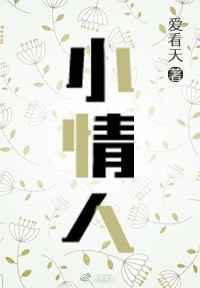 小情人电视剧免费播放完整版