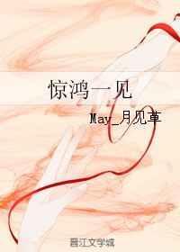 惊鸿一见歌词