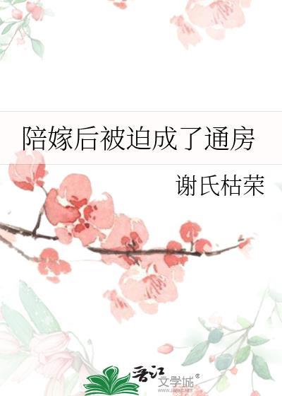 陪嫁通房丫还