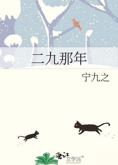 二九那年笔趣阁免费阅读