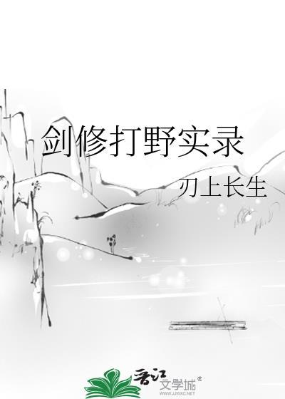 剑修打架是什么样的