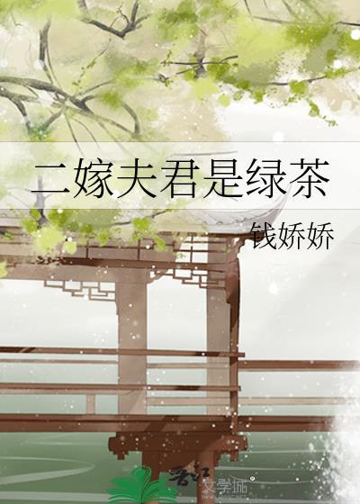二嫁夫君是绿茶吗