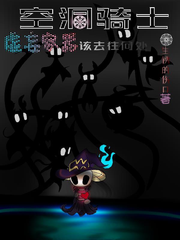 空洞骑士虚空像