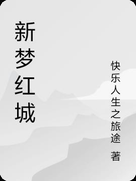 武汉新梦成