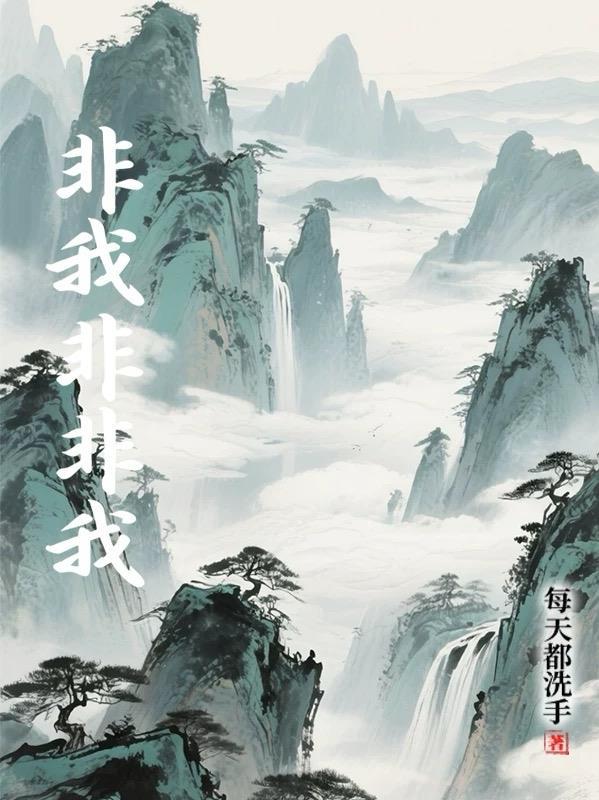 非我非非我 接受采访