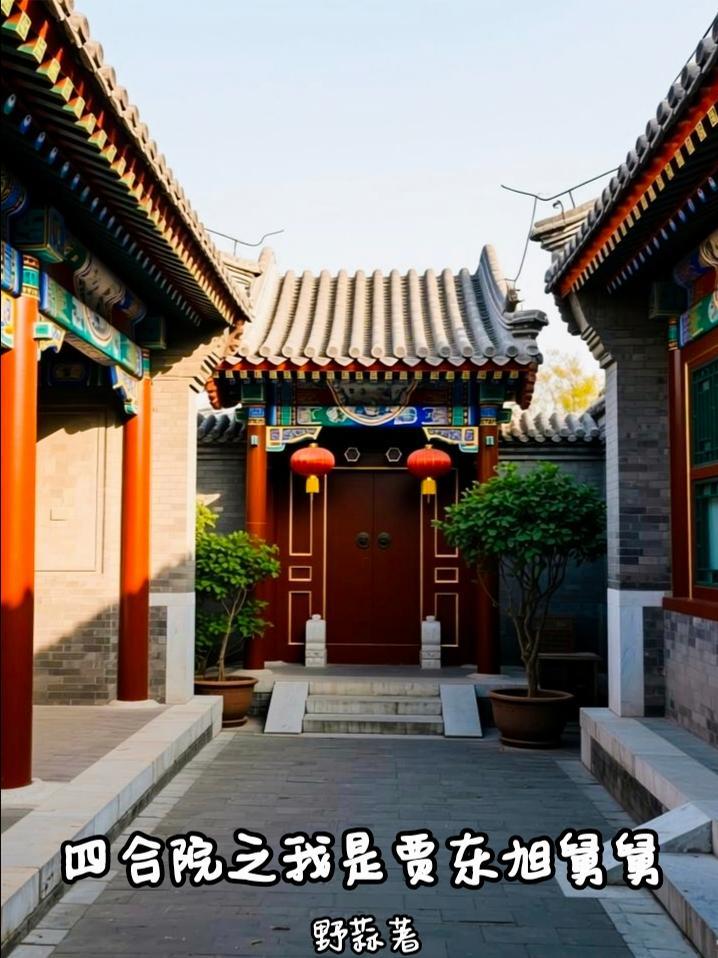 四合院之重生贾梗小舅