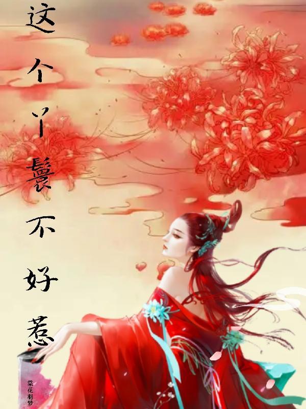这个丫鬟要不起电视剧