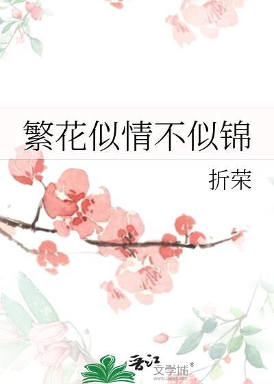 似锦繁花和繁花似锦什么区别