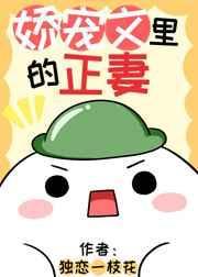 娇宠文里的正妻作者独恋一枝花