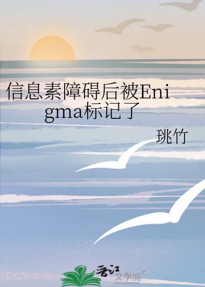 信息素紊乱症后我被标记了