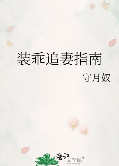 装乖追妻指南gI晋江