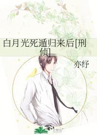 白月光死后我飞升格格党