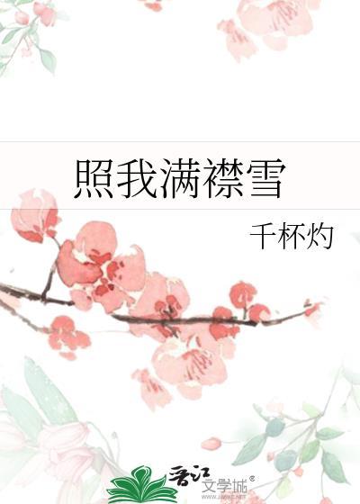 照我满襟雪txt
