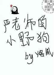 严老师语文