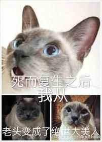 死而重生后我从老头变成了