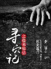 盗墓寻龙讲的什么
