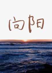 向阳而生华晨宇