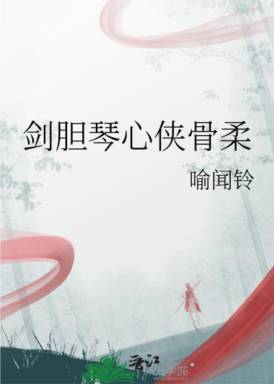 剑胆琴心侠骨柔情什么意思