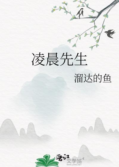 凌晨先生txt
