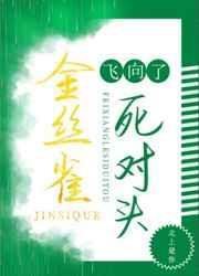 菟丝花是什么意思