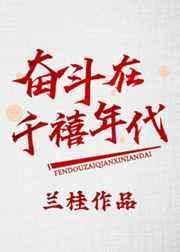 奋斗在黄金时代免费