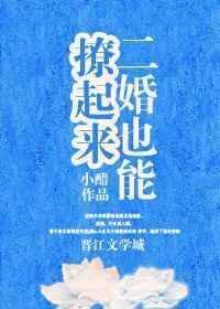 二婚也能撩起来讲的什么