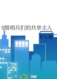 哨兵的等级
