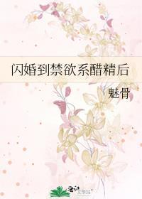 闪婚以后gl