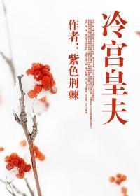 冷宫皇夫全文阅读