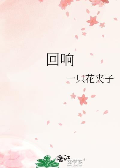 回响电视剧免费观看完整版