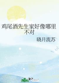 鸡尾酒先生家好像哪里不对txt
