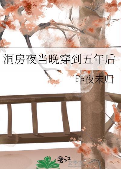 洞房当夜穿到五年后txt 百度贴吧