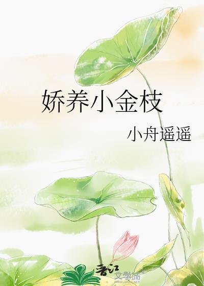 娇养小金枝TXT百度