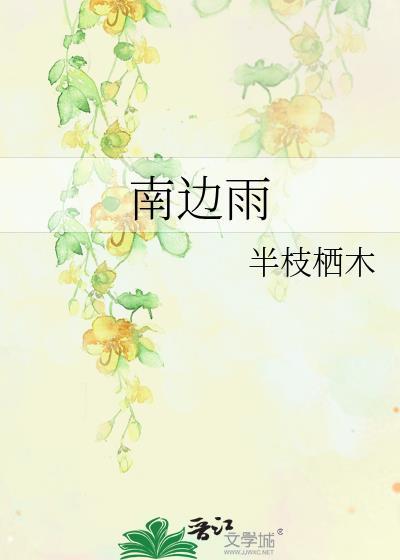 南边雨晋江