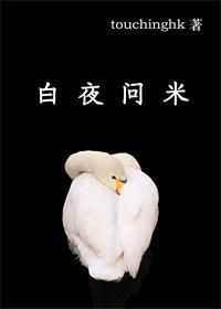 白夜问米晋江