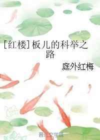 红楼梦里的板儿如今多大了?