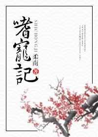 嗜宠记by柔南讲的什么故事