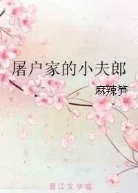 屠户家的小夫郎TXT