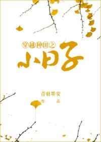 穿越种田之小日子txt链接