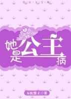 他是公主梗