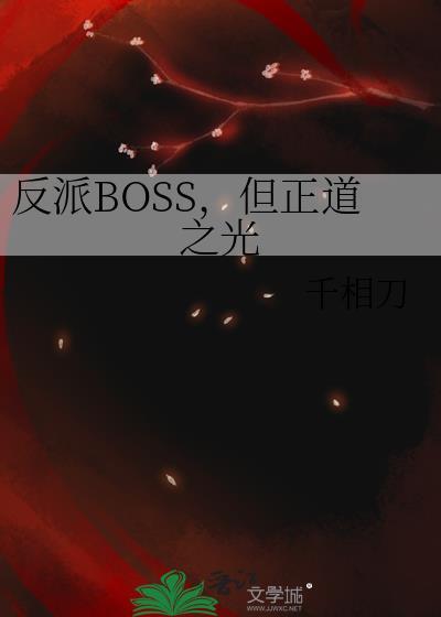 但正道之光TXT免费